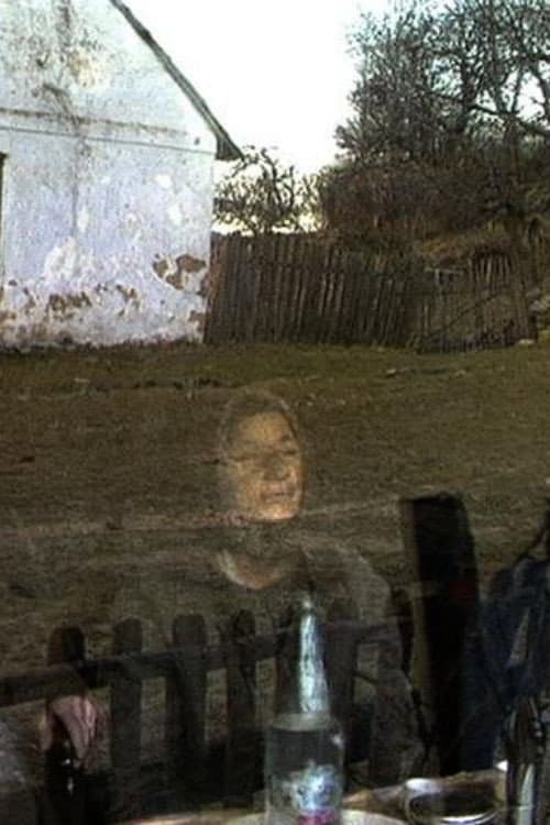Lindenfeld 1994 (1994) poster