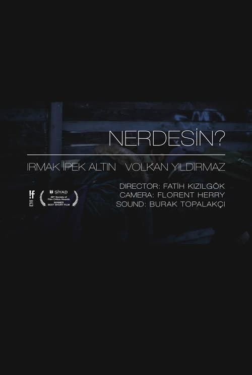 Nerdesin? (2012) poster