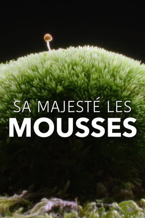 Sa Majesté les mousses (2023) poster