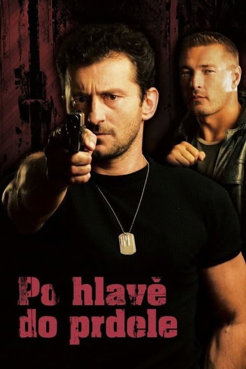 Po hlavě do prdele (2006) poster