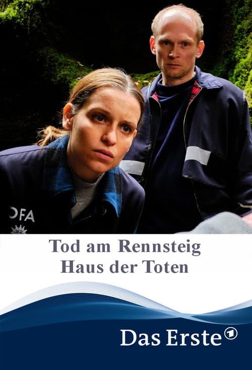 Tod am Rennsteig - Haus der Toten (2025) poster