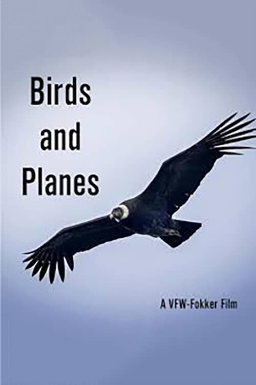Birds and Planes (1967) poster