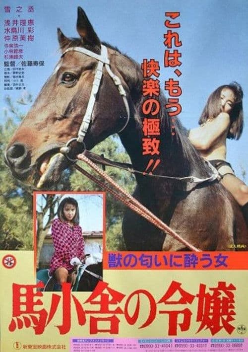 馬小舎の令嬢 (1991) poster