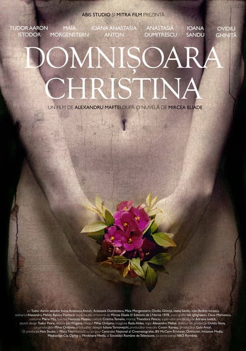 Domnișoara Christina (2013) poster
