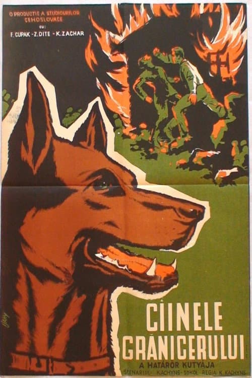 Ztracená stopa (1956) poster