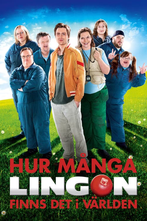 Hur många lingon finns det i världen (2011) poster