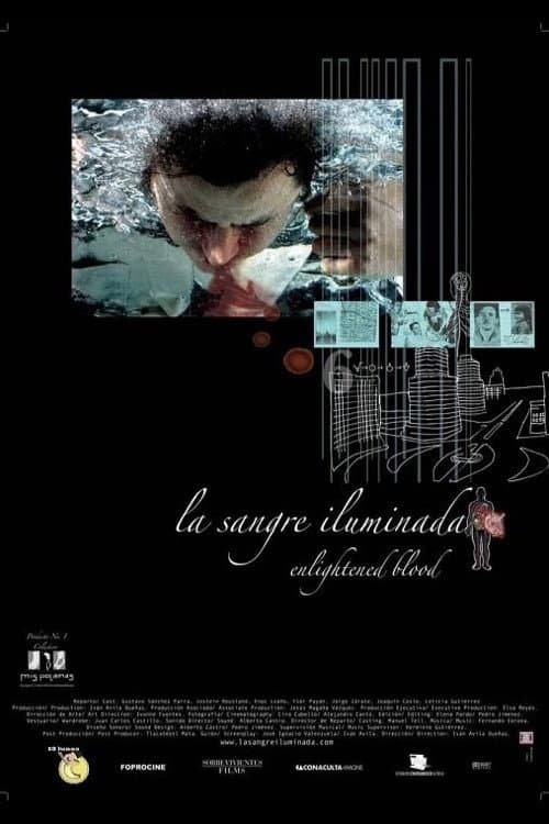 La sangre iluminada (2008) poster