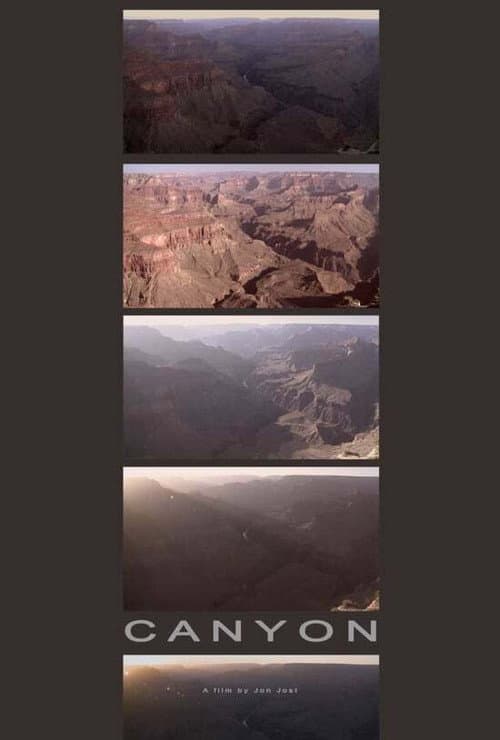 Canyon II (2018) poster