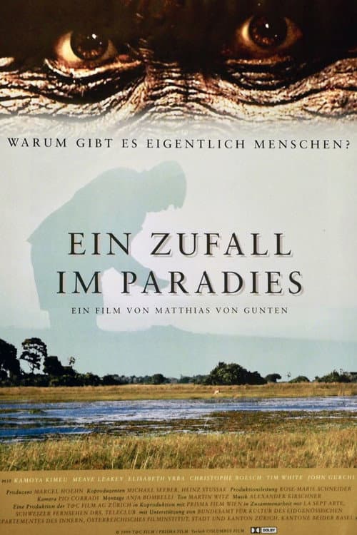 Ein Zufall im Paradies (1999) poster