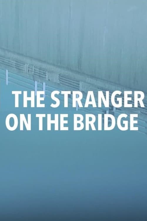 The Stranger on the Bridge (2015) poster