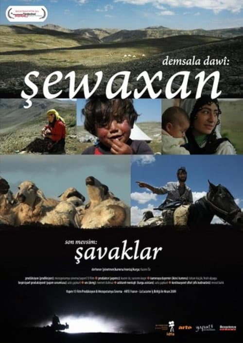 Demsala dawi: Sewaxan (2009) poster