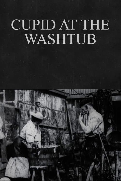 Cupid at the Washtub (1897) poster