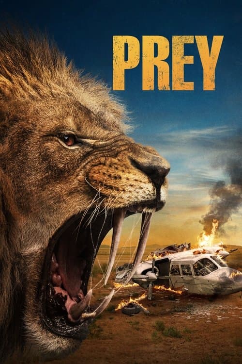 Prey24 (2024) poster