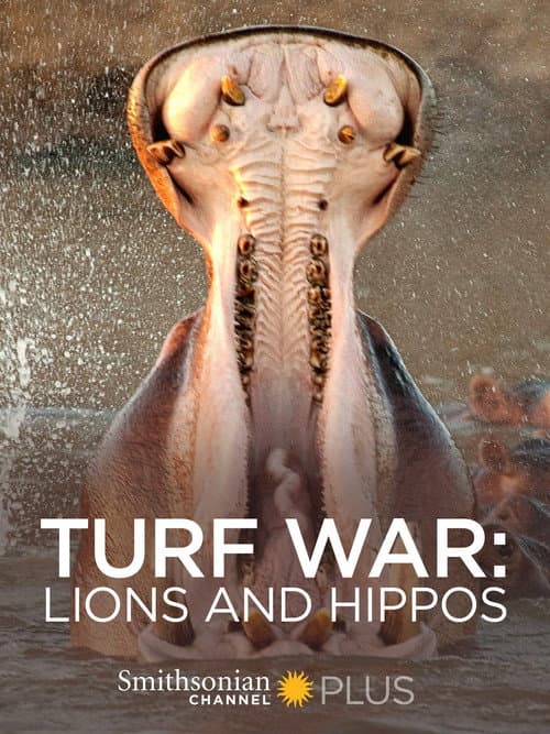 Turf War: Lions and Hippos (2009) poster