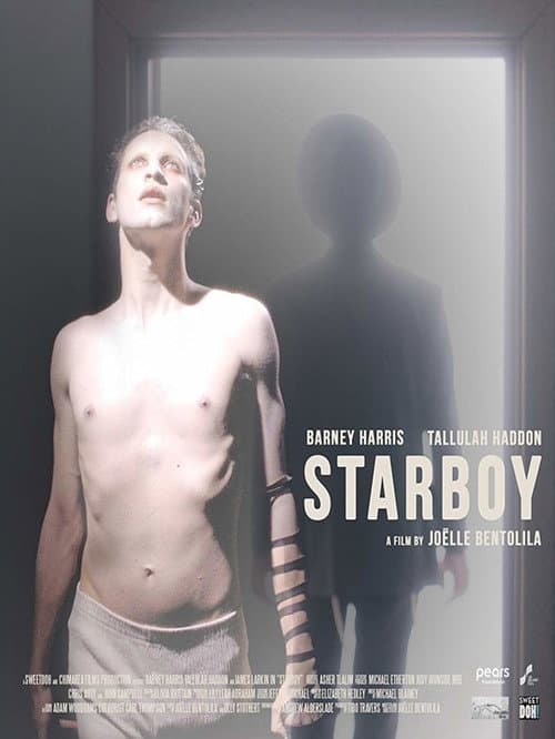Starboy (2019) poster