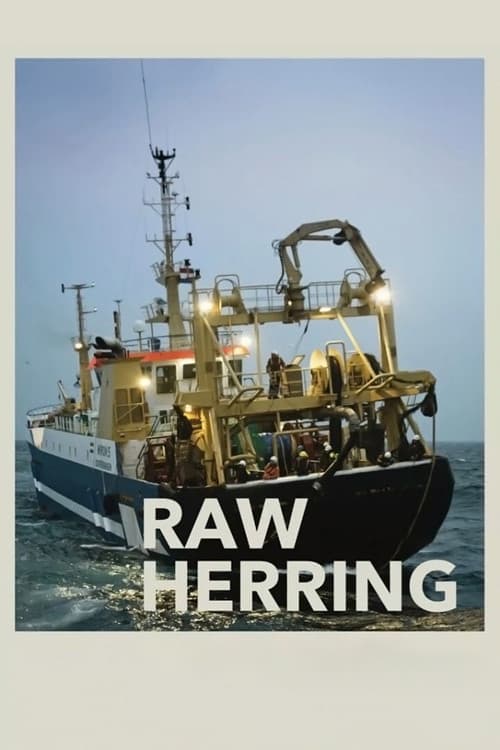 Hollandse Nieuwe (2013) poster