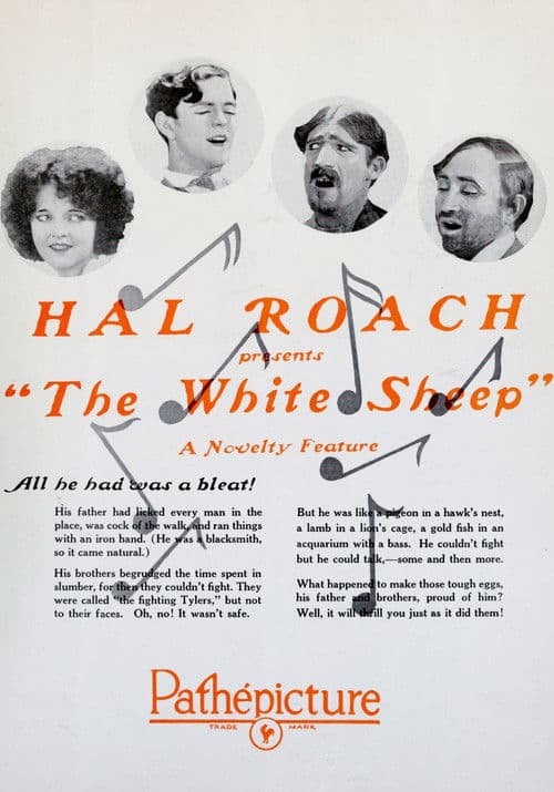The White Sheep (1924) poster