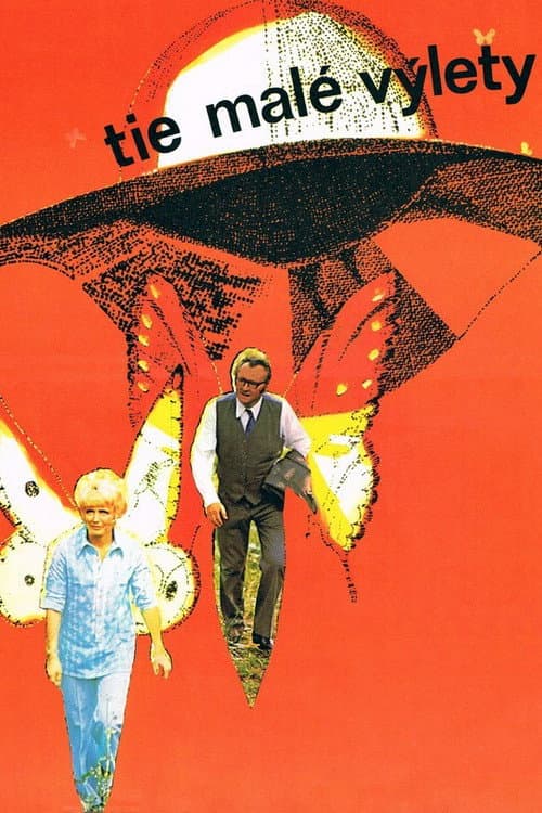 Tie malé výlety (1973) poster