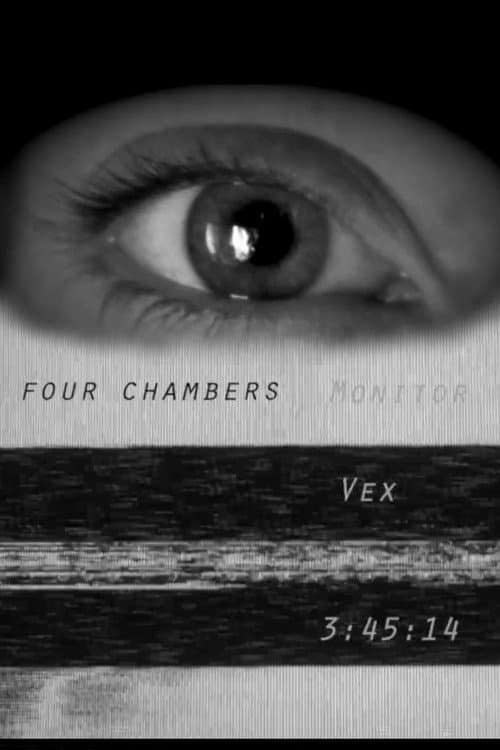 Monitor (2013) poster