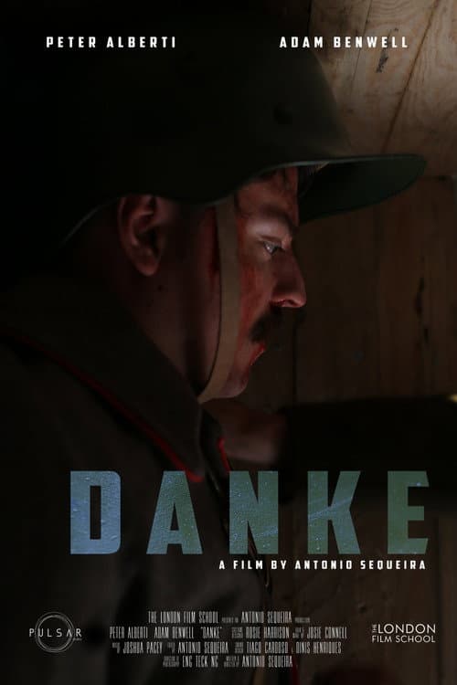 Danke (2017) poster