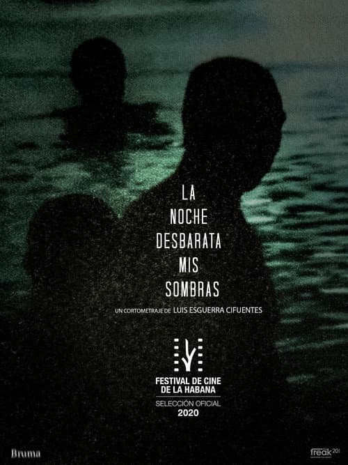 La Noche Desbarata mis Sombras (2020) poster