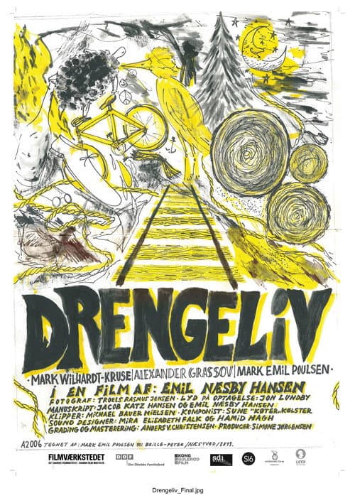 Drengeliv (2013) poster