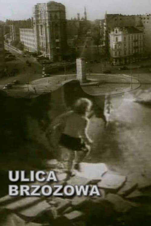 Ulica Brzozowa (1947) poster