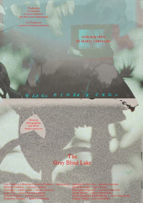 O lago cinza e cego (2026) poster