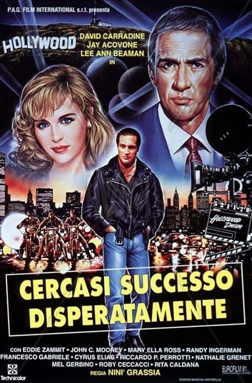 Cercasi successo disperatamente (1994) poster