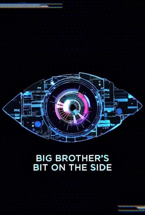 Big Brother's Bit on the Side (2011) poster