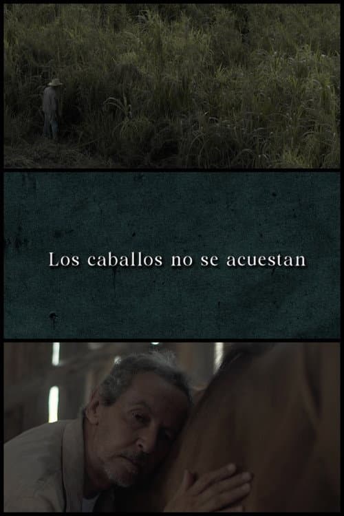 Los caballos no se acuestan (2024) poster