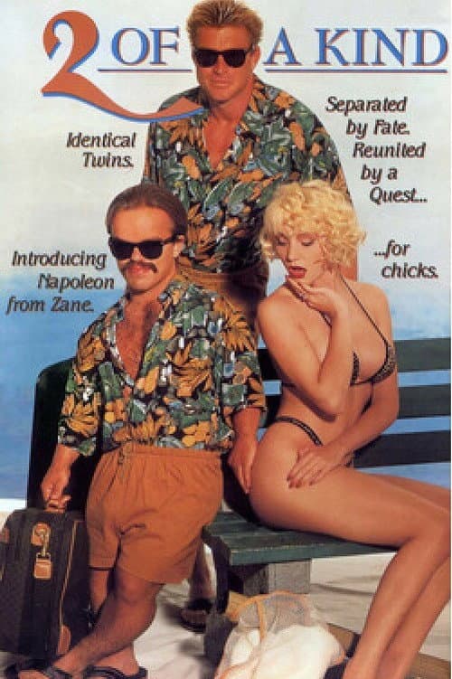 2 of a Kind (1991) poster
