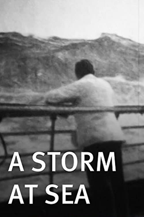 A Storm at Sea (1900) poster