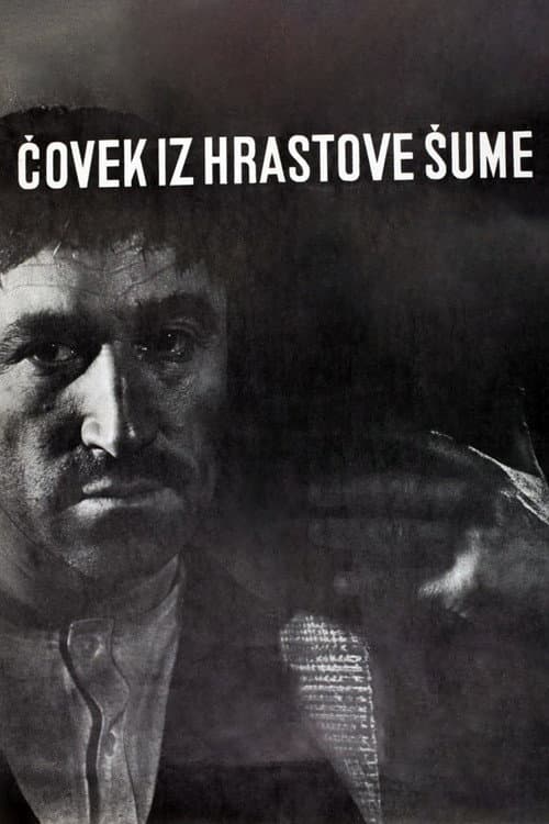 Čovek iz hrastove šume (1964) poster