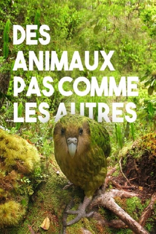 Des animaux pas comme les autres (2014) poster