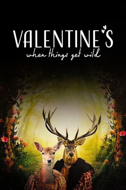 Valentine's: When Things Get Wild (2021) poster
