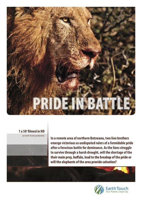 Pride in Battle (2010) poster