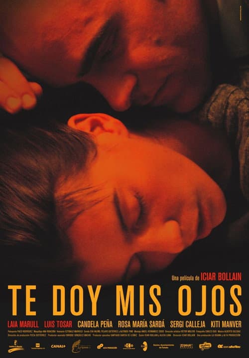 Te doy mis ojos (2003) poster