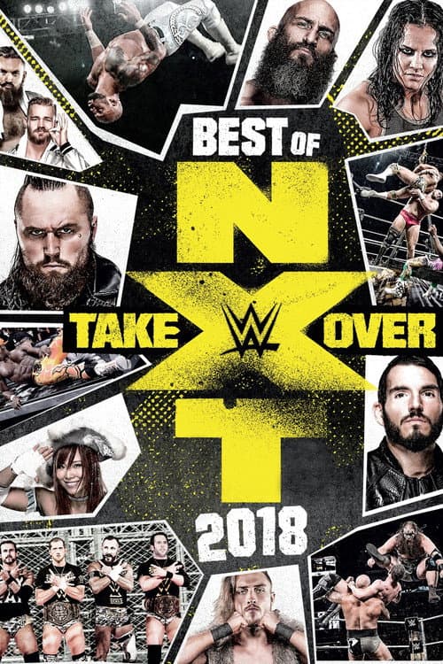 WWE Best of NXT TakeOver 2018 (2019) poster