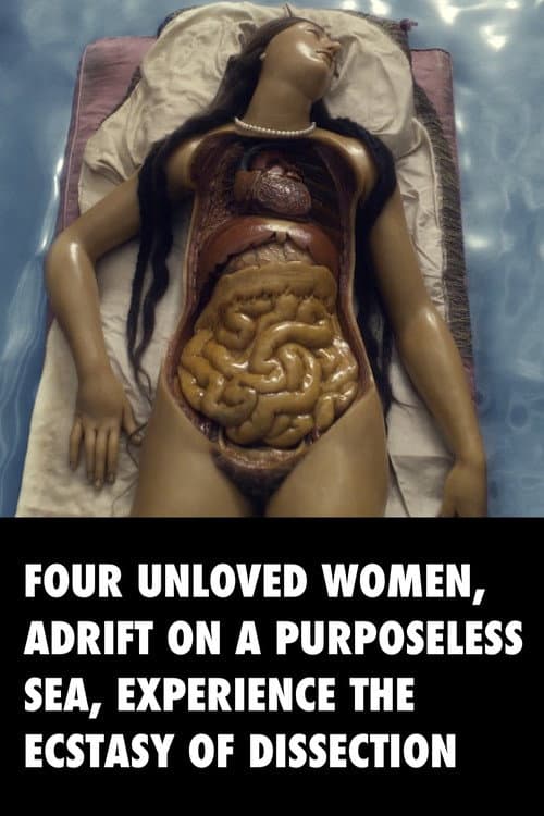 Four Unloved Women, Adrift on a Purposeless Sea, Experience the Ecstasy of Dissection (2023) poster