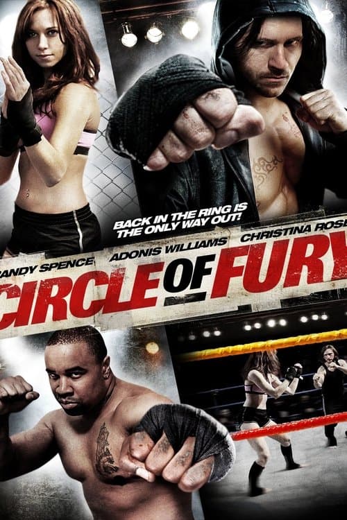 Circle of Fury (2010) poster