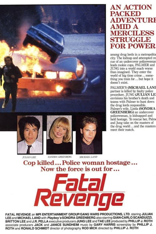 Fatal Revenge (1989) poster