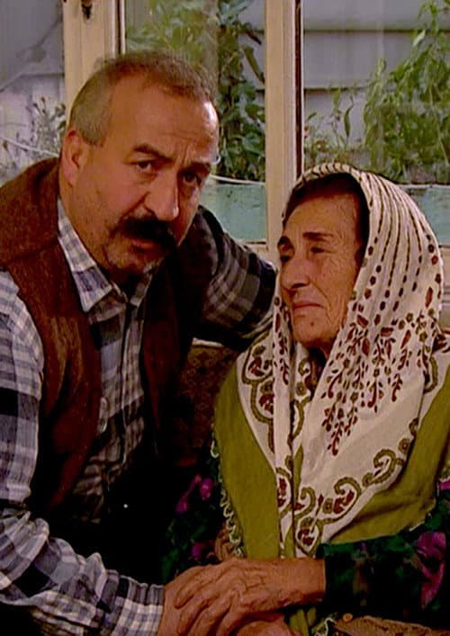 Ana Sütü (2006) poster
