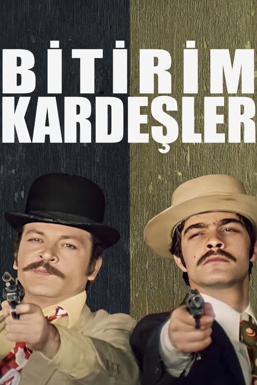 Bitirim Kardeşler (1973) poster