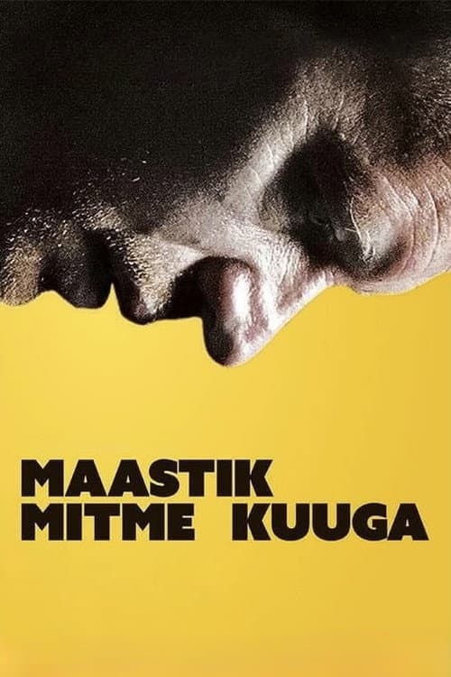 Maastik mitme kuuga (2014) poster