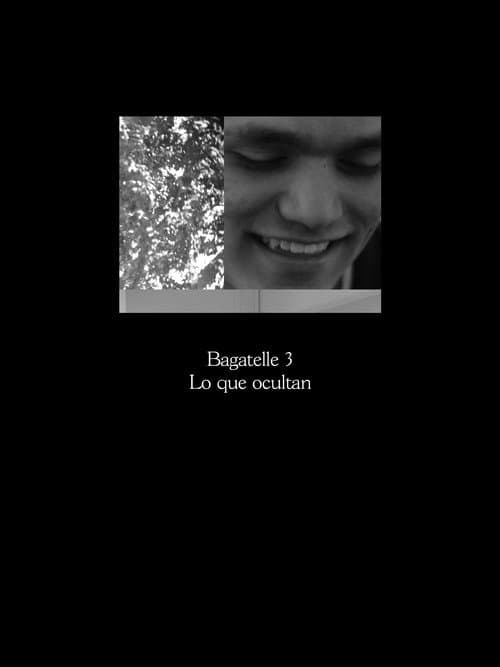 Bagatelle 3: Lo que ocultan (2018) poster