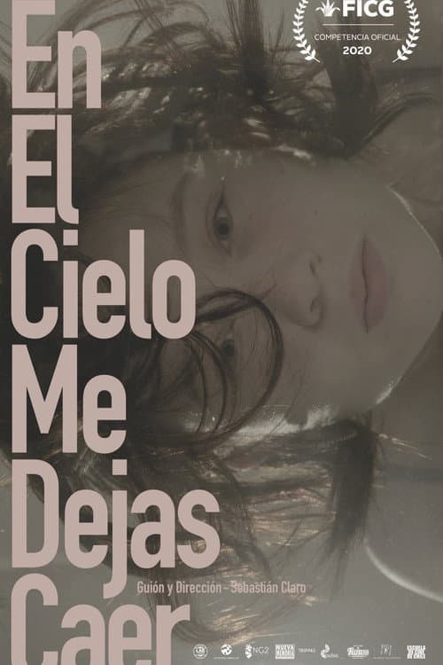 En el cielo me dejas caer (2020) poster