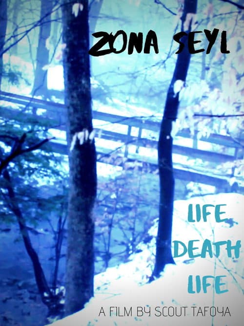 Zona Seyl (2020) poster