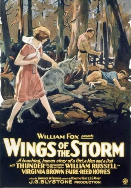 Wings of the Storm (1926) poster