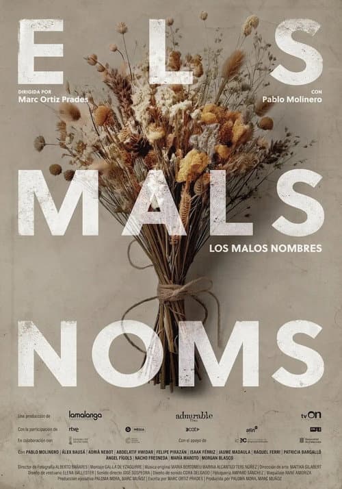 Els mals noms (2025) poster